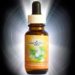 Quan Yin Creative essence
